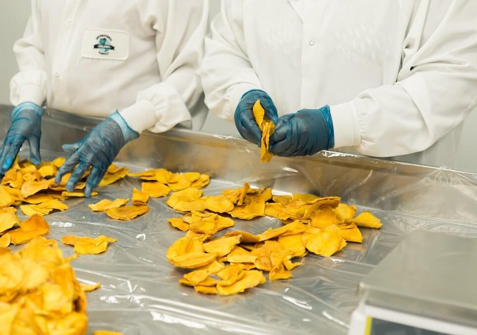 GET a GRIP with COVID Infection Rates in Factories