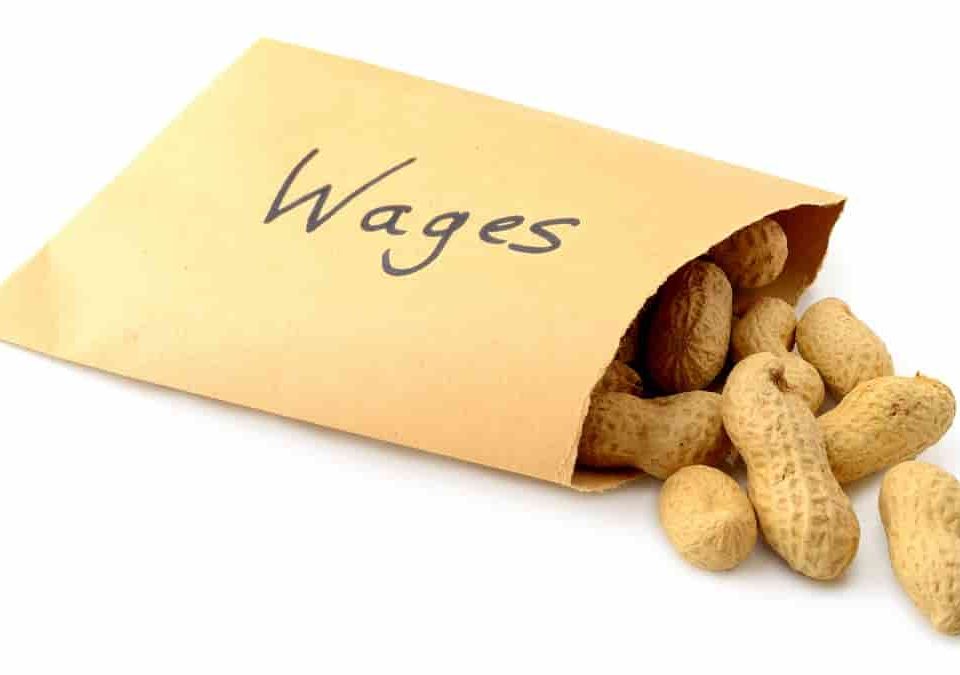 Breached Minimum Wage Requirements