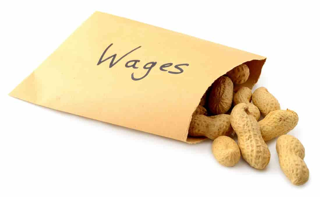 Breached Minimum Wage Requirements