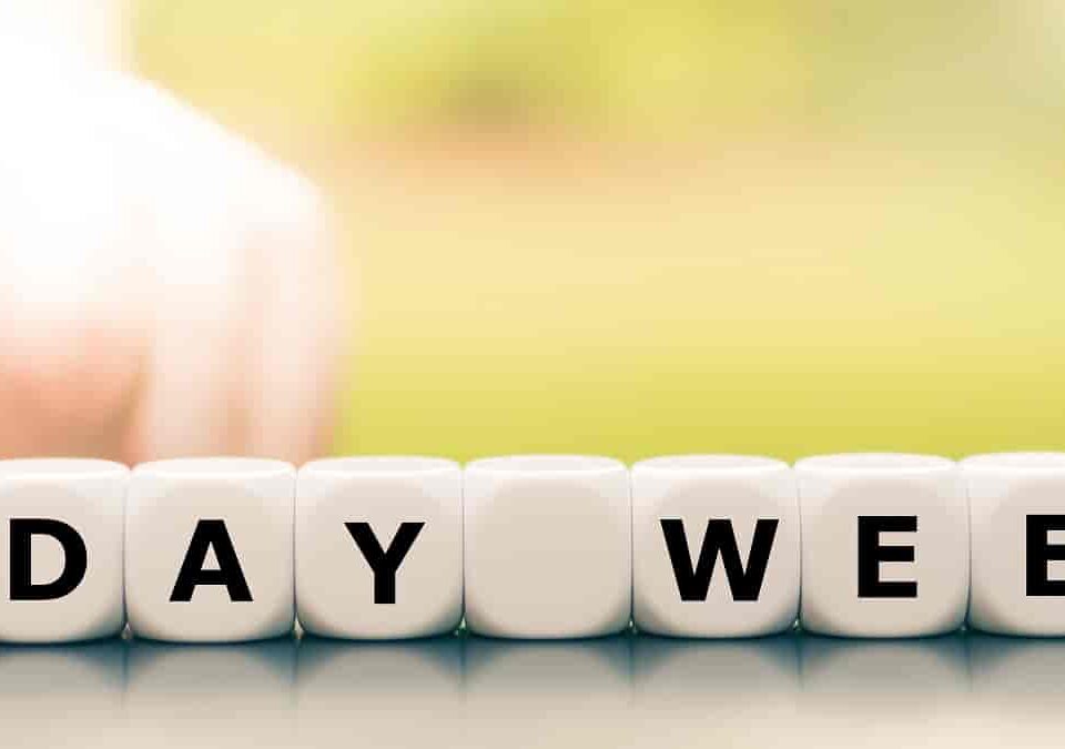 4 Day Week Trial