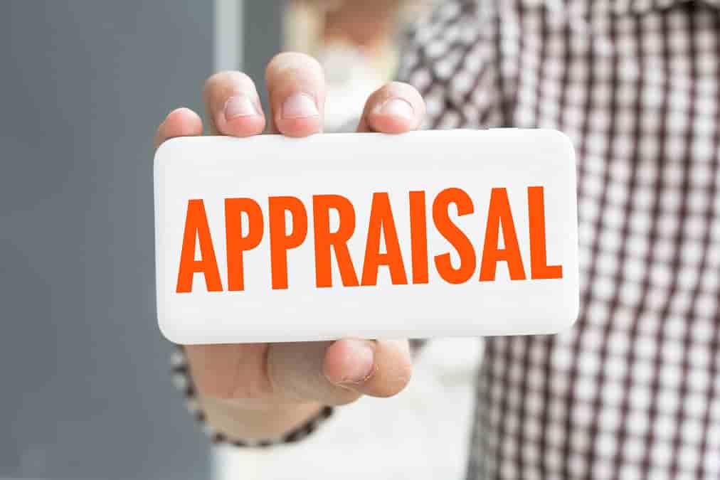 Appraisals at Work