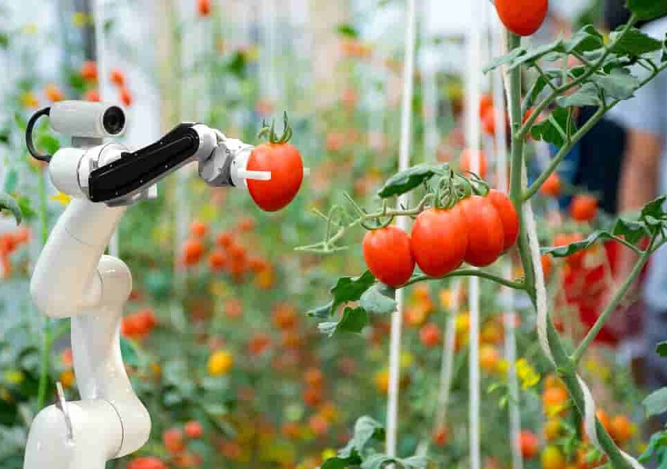 Automation and Technology in the Workplace