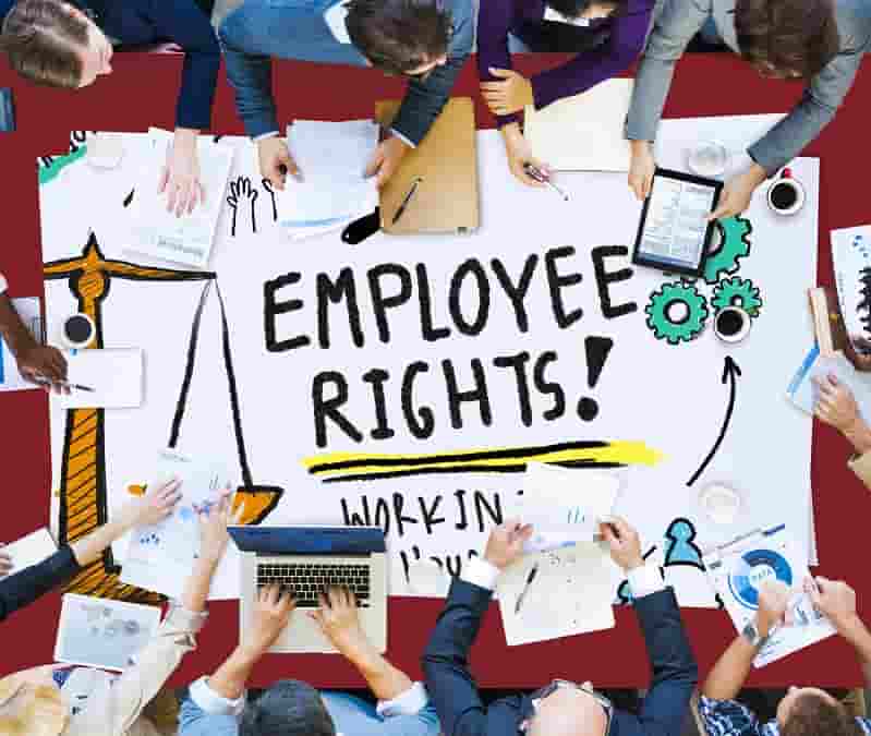 Know Your Employment Rights