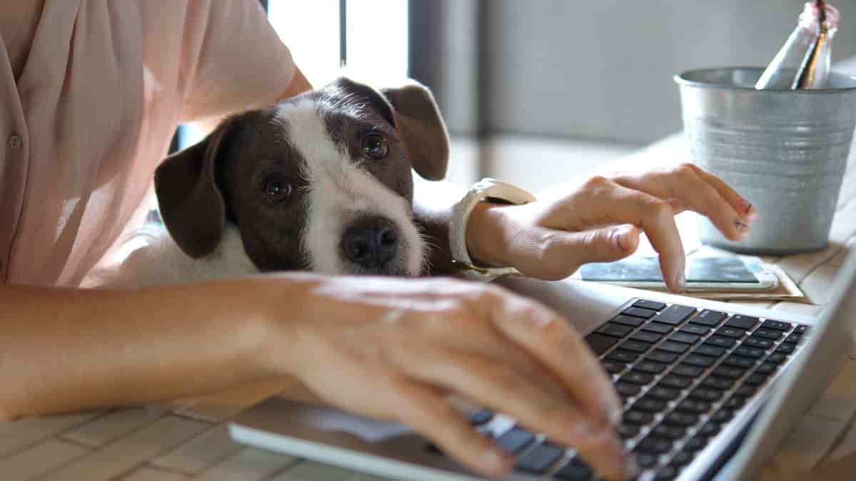 UK Emerges as the Work-From-Home Capital of Europe