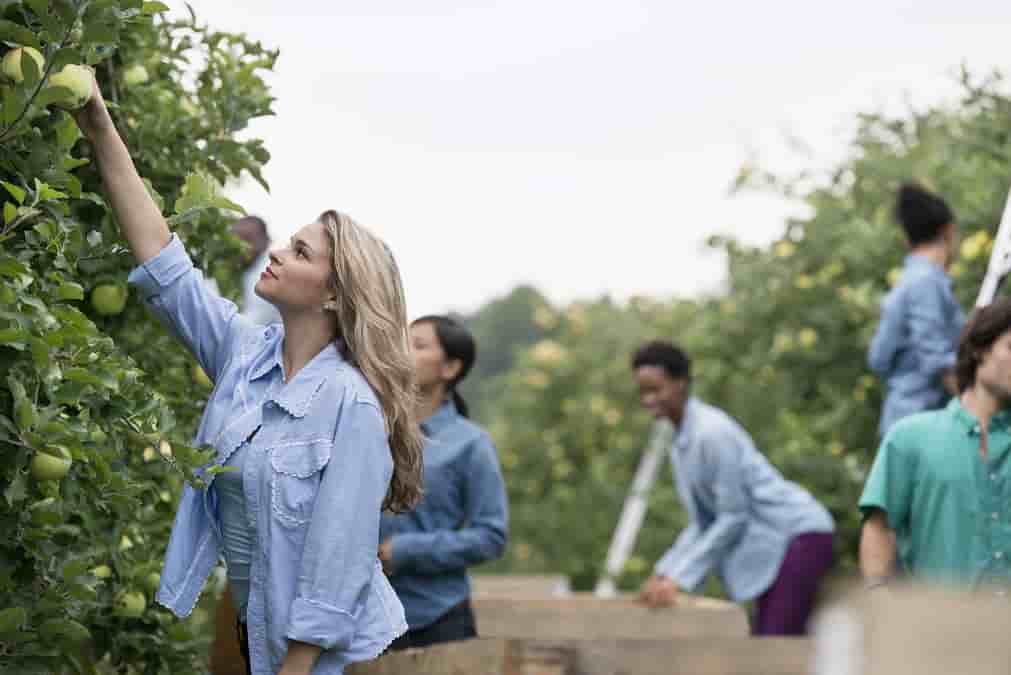 UK Farmers Facing Seasonal Labour Shortages