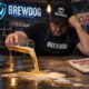 BrewDog collapse: 484 UK jobs lost as Tilray rescues brand in £33m deal