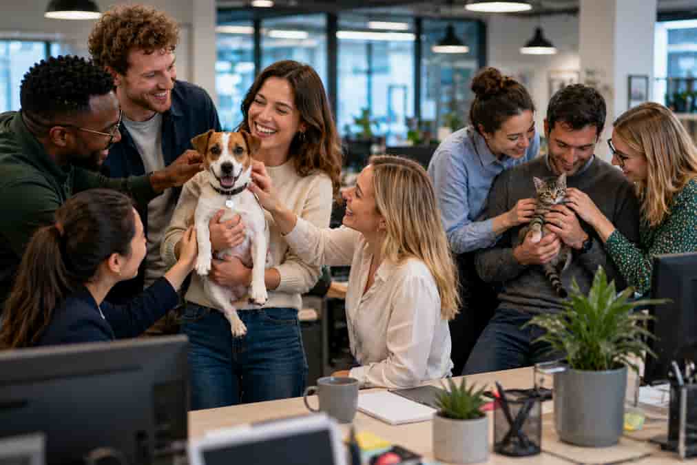 Pets and people in the office